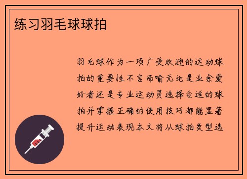 练习羽毛球球拍